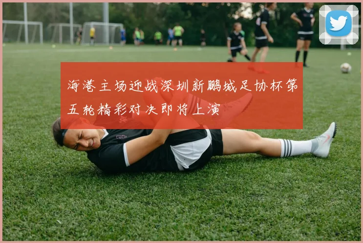 海港主场迎战深圳新鹏城足协杯第五轮精彩对决即将上演