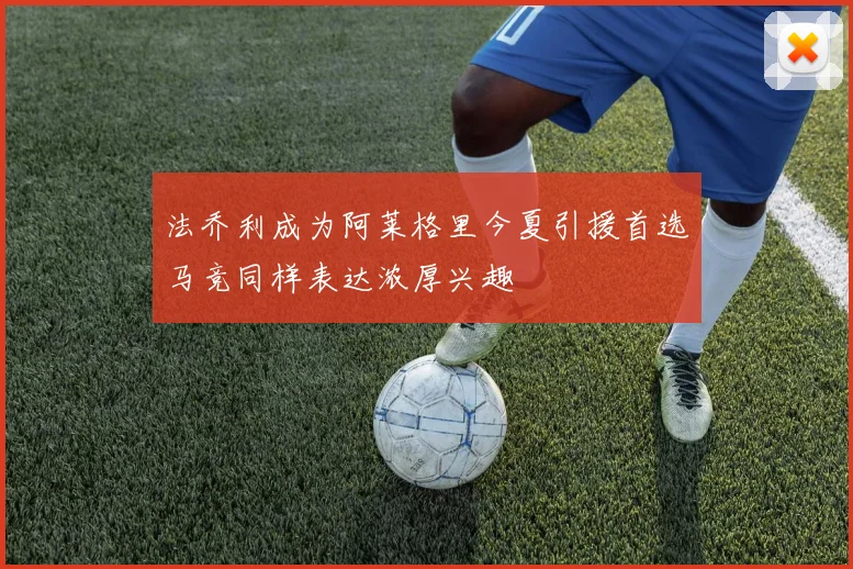 法乔利成为阿莱格里今夏引援首选马竞同样表达浓厚兴趣